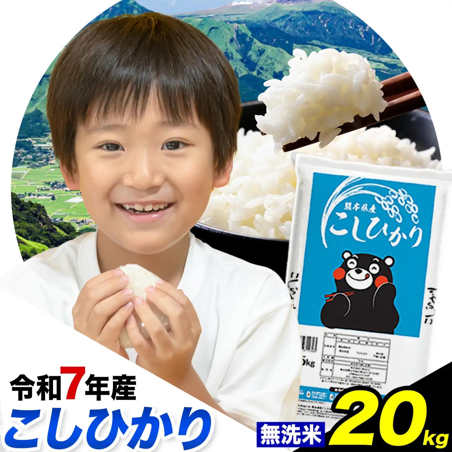 令和7年産 こしひかり 無洗米  20kg 無洗