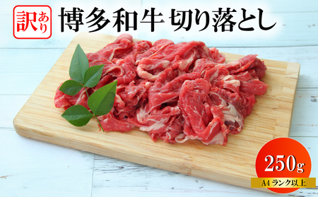 博多和牛切り落とし 訳あり 切り落とし 訳あり KMR