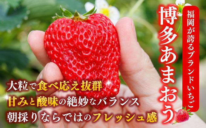 福岡県産 博多冷凍あまおう 約500g×4袋 合計約2kg 約2kg