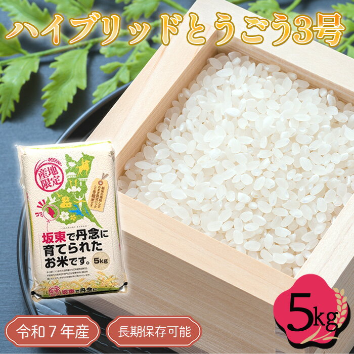 【ふるさと納税】 「令和7年産米」ハイブリッドとうごう3号　5kg【長期保存可能！】 ／ お米 コメ 粘り 送料無料 茨城県 No.760