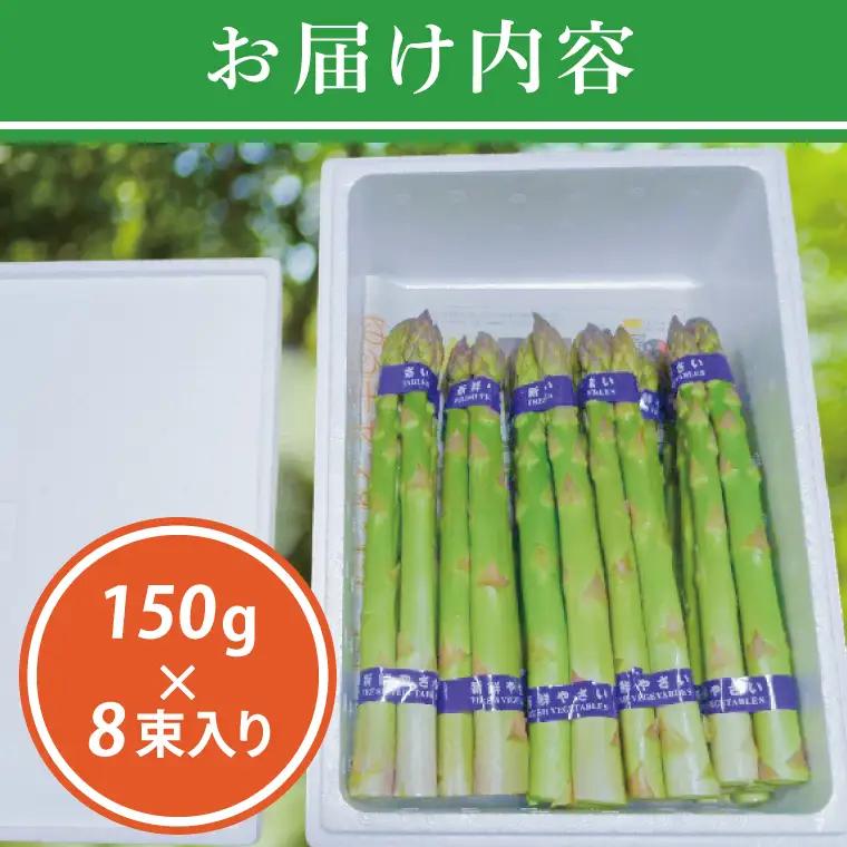 令和8年産 フルーツ アスパラ 1.2kg CS002 アスパラガス