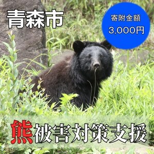 【返礼品なし】クマによる被害を防ぐ～クマ対策へのご支援を～　3,000円