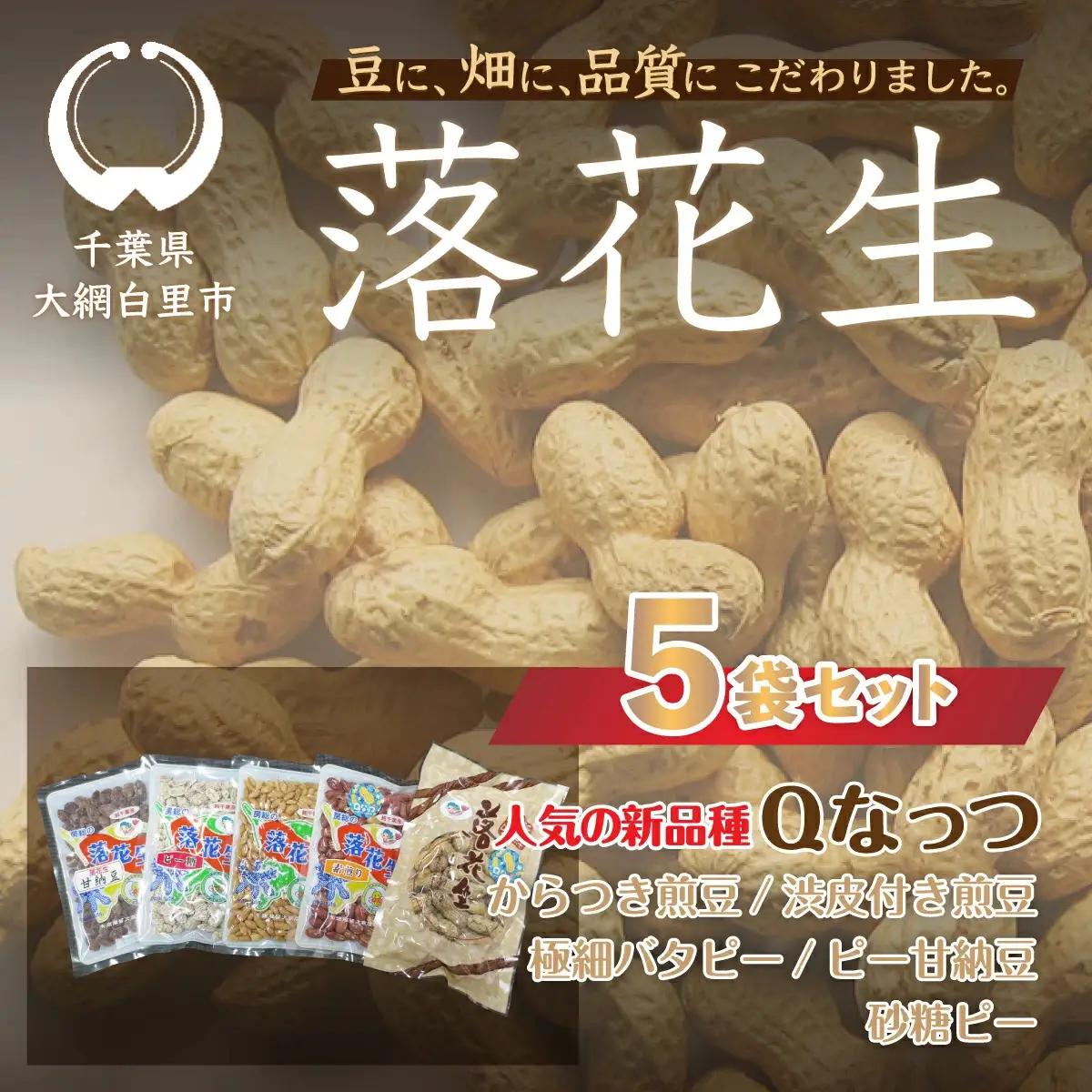 千葉県 大網白里市産 落花生5袋セット