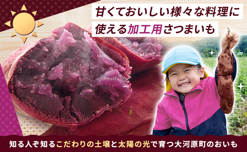 さつまいも 約5kg ふくむらさき 加工用 大きいサイズ サツマ