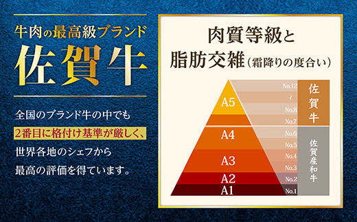 佐賀牛 ハンバーグ 150g×15パック 計2250g 牛肉 ブランド牛 黒毛 和牛 上質 はんばーぐ 惣菜 D-294