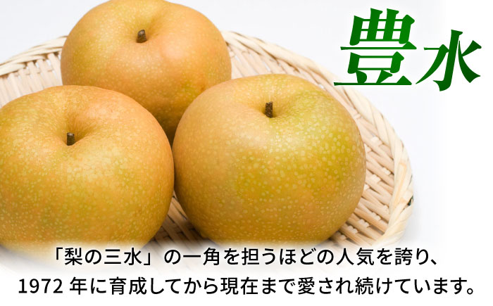 【先行予約】豊水梨　約3kg 梨 ナシ フルーツ 果物 【日本フルーツ株式会社】 [ZFJ060]