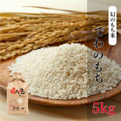 ふるさと納税 酒田市 幻のもち米「でわのもち」 5kg
