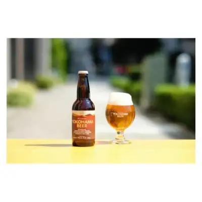 【父の日当日にお届け】横浜ビール ALE 2種12本セット クラフトビール 父の日ギフト AFH0002-F