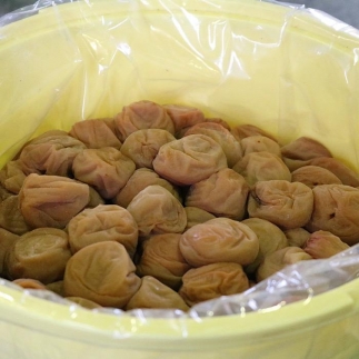  【贈答用】紀州南高梅 白干梅干し 400g 化粧箱入 【US27】