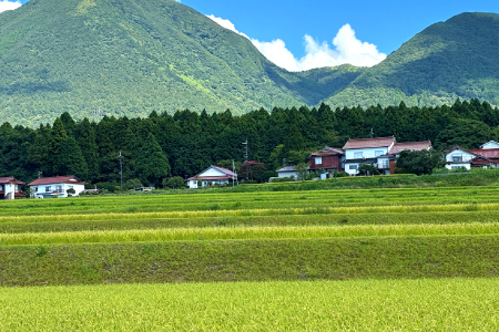 令和７年島根県産コシヒカリ10㎏（5㎏×2袋）【令和7年産 お米 コシヒカリ 10kg こしひかり 2025年産 米 おこめ こめ 島根県産】