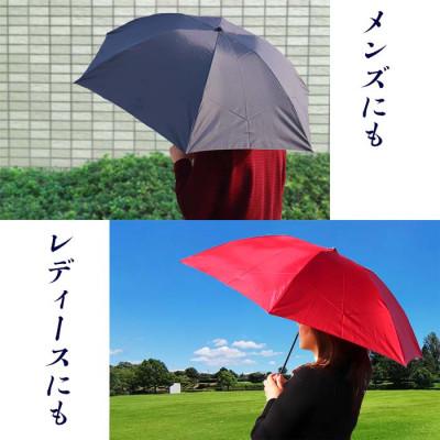 ふるさと納税 田原本町 男女兼用雨傘 超軽量ミニ傘 136401 富士絹無地 ブラック |  | 02