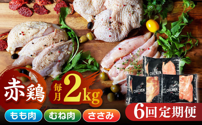 
【6回定期便】鶏肉 赤鶏 食べ比べ むね肉 もも肉 ささみ 計12kg（各2kg×3種）【日本一鶏肉研究所 株式会社 】 熊本県 九州産 ささみ ササミ むね肉 モモ肉 鶏肉セット 食べ比べ [ZCU142]
