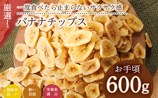 厳選バナナチップス【600g】 ドライフルーツ バナナ 乾燥バナナ チップス 健康 おつまみ おやつ 4V1
