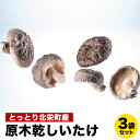 【ふるさと納税】とっとり北栄町産 原木乾しいたけ3袋セット※着日指定不可※2024年4月上旬～9月下旬頃に順次発送予定