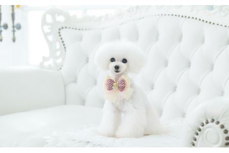 No.079 アソートネックアクセサリーセット