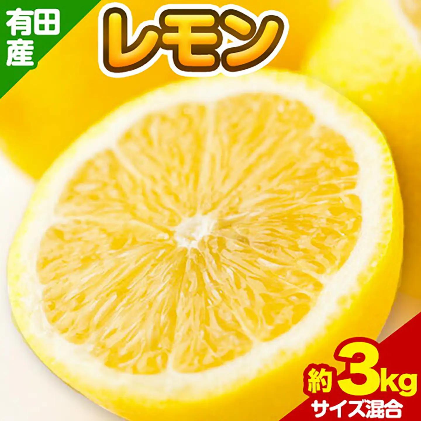 有田産 レモン 約 3kg 厳選館 レモン 檸檬