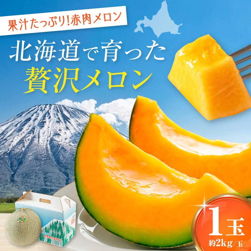 【ふるさと納税】先行予約 数量限定 赤肉メロン 2kg 1玉 《喜茂別町》【Aコープようてい】 先行予約 数量限定 メロン 赤肉 フルーツ 果物 贈答用 北海道 北海道産 産地直送 [AJAK023] 9000 9000円 9千円