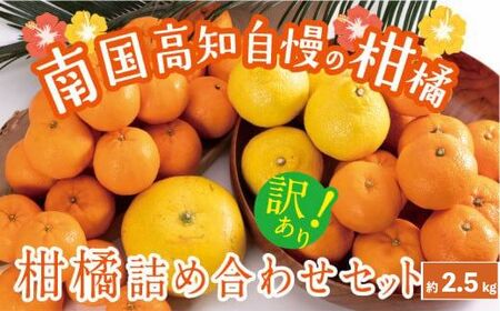 季節のみかん 柑橘 2.5kg 柑橘