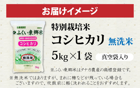 令和7年産【無洗米】特別栽培米 福井県産コシヒカリ 5kg [A-020031] / 無洗米