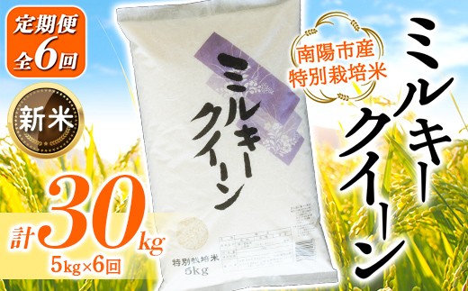 【令和8年産 新米 先行予約】 【金賞受賞農家】 《定期便6回》 特別栽培米 ミルキークイーン 5kg×6か月 《令和8年9月下旬～発送》 『あおきライスファーム』 山形南陽産 米 白米 精米 ご飯 農家直送 山形県 南陽市 [1614-R8]