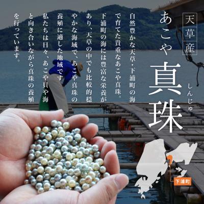 ふるさと納税 天草市 あこや真珠 ピアス シェル 8-8.5mm ハート ホワイトピンク K14WG_S101-425 |  | 02