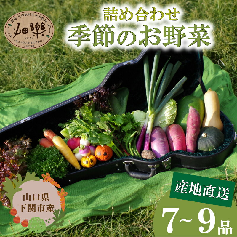 【ふるさと納税】旬 の 野菜 詰め合わせ セット 7 ~ 9 品 単回・定期便 3～10回 【2025年5月以降順次発送】 お楽しみ 産地直送 農家直送 季節 春 夏 秋 冬 露地野菜 やさい サラダ 農薬 化学肥料 不使用 下関 山口