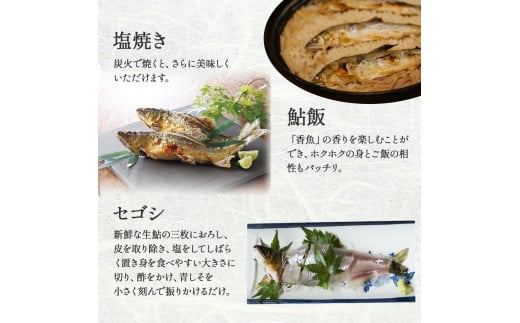 四万十川上流の天然鮎 釣り鮎1.2kg【冷凍5～18尾】【着日指定不可】／Esj-A42k