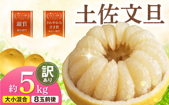 
                  【先行予約】本場、高知県土佐市産！土佐水谷農園の露地土佐文旦 家庭用約5キロ 5kg 大小混合（L～上限なし：8玉前後）〈2027年1月20日～発送〉 文旦 ぶんたん 土佐 柑橘 高知県産 フルーツ お取り寄せ 訳あり 先行予約 高知県 土佐市【土佐水谷農園】[BQBD003]
                