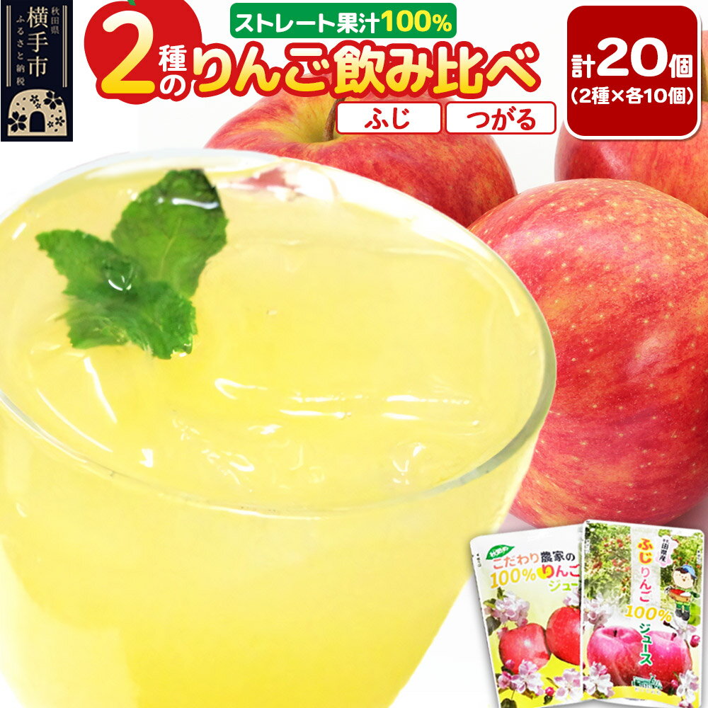 【ふるさと納税】2種のりんごジュース飲み比べセット【ふじ、つがる】計20個（2種×各10個）