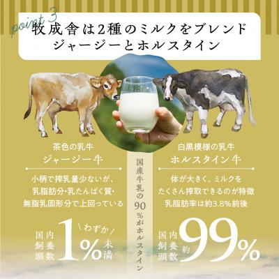 ふるさと納税 飛騨市 飛騨の牛乳屋・牧成舎の飛騨産生乳100%と砂糖のみで作った飲むヨーグルト6本 |  | 03