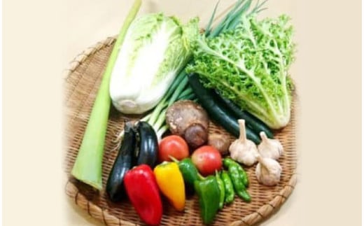 【産地直送新鮮野菜】 高知県産 南国土佐の季節の野菜詰め合せセット【野菜セット】