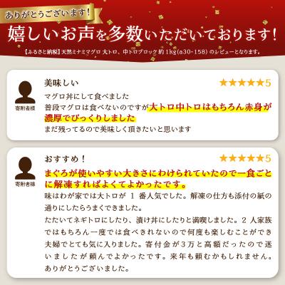 ふるさと納税 焼津市 天然ミナミマグロ 大トロ 中トロブロック 約1kg(a30-158) |  | 01
