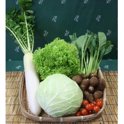 ふるさと納税 芝山町 野菜セット 「大地の恵みセット」6〜7種 +古代米バウムクーヘン