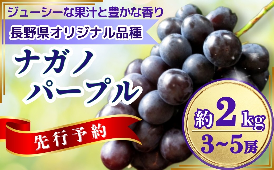 
            【2025年先行予約】ぶどう ナガノパープル 約2kg(3~5房)｜ 果物 フルーツ ぶどう 葡萄 ブドウ 種無し 種なし 皮ごと 千曲市 長野県 信州
          