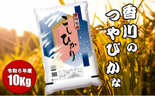 【令和6年産】　香川のお米　コシヒカリ　10kg お米