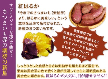 紅はるか約5kg《30日以内に出荷予定(土日祝除く)》有限会社ニシムラ