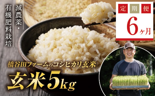 ＜定期便6ヶ月＞令和8年産米 減農薬・有機肥料栽培 西会津産米コシヒカリ 玄米 5kg 米 お米 おこめ ご飯 ごはん 福島県 西会津町 F4D-2492