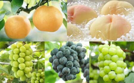 【5回定期便】岡山県産 フルーツ定期便コース （マスカットオブアレキサンドリア ・ 白桃 ・ ニューピオーネ ・ シャインマスカット 晴王 ・ あたご梨） 【2026年7月上旬発送開始】 ／ 5回 マスカット 葡萄 ぶどう 桃 もも 梨 なし 果物 果実 フルーツ 旬 定期便 岡山県 美咲町 冷蔵 常温