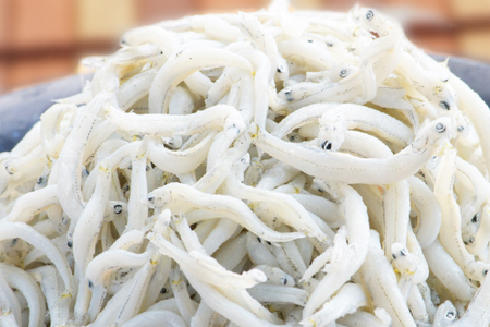 定期便 釜揚げしらす (1kg×8か月) 天然 釜揚げ ふっくら しらす シラス 魚 さかな 魚介 離乳食