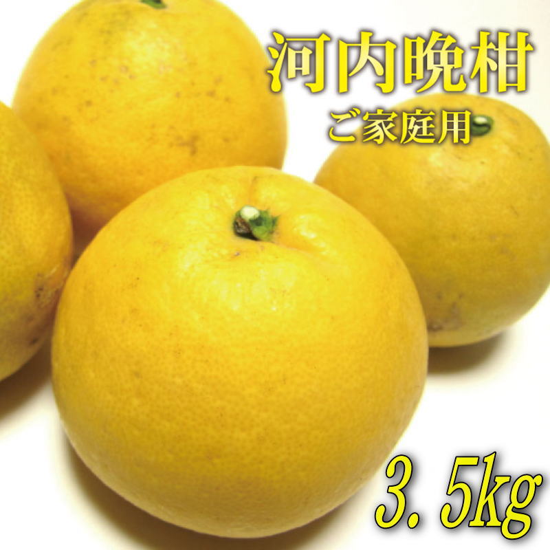 【ふるさと納税】【和製グレープフルーツ】有田育ちの河内晩柑(ご家庭用) 3.5kg ※2025年4月中旬～6月下旬に順次発送予定