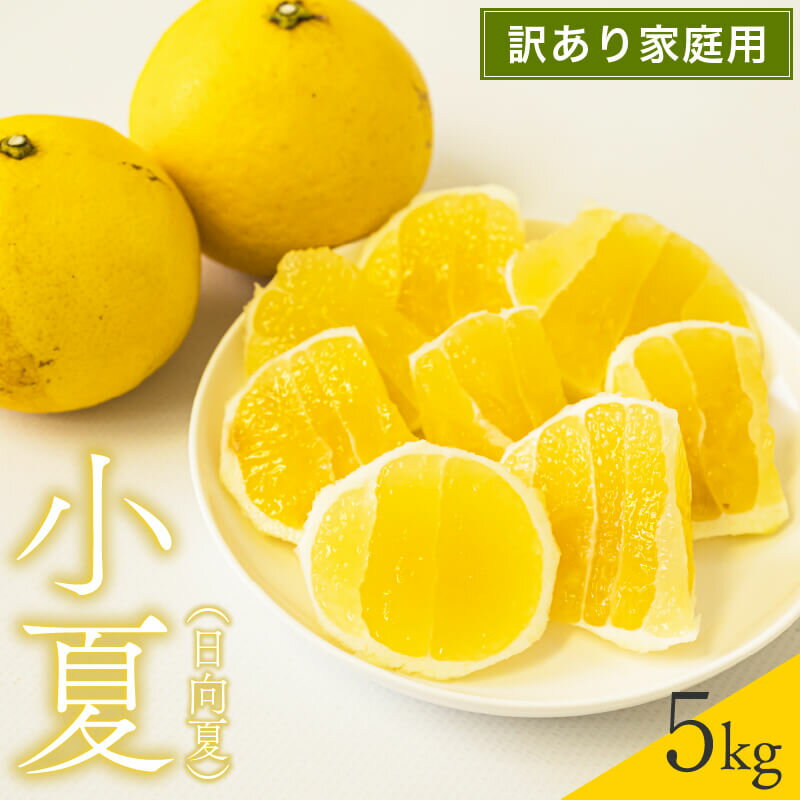 【ふるさと納税】 【早期予約】訳あり 家庭用 小夏 （ 日向夏 ）5kg 無農薬 高知県 須崎産 柑橘 初夏 フルーツ 果物 こなつ コナツ ひゅうが夏 旬 みかん 須崎市 母の日 MH010