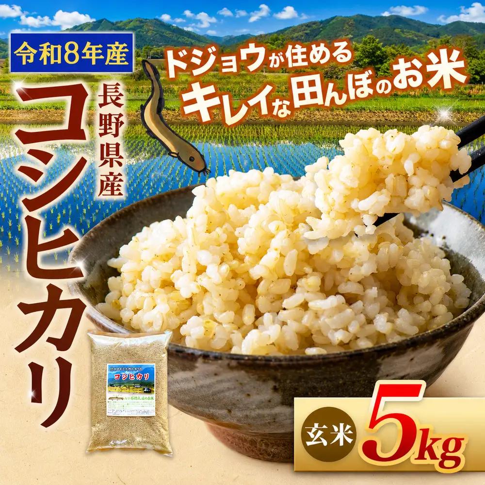 【令和8年産先行予約】『どじょうのいる田んぼのお米』コシヒカリ 玄米 5kg | 馬場農園