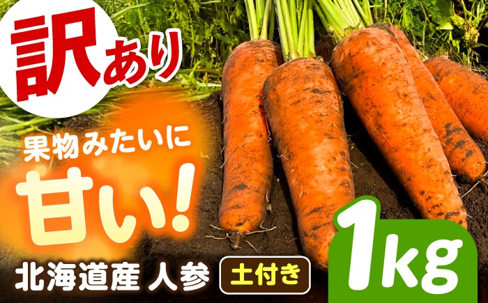 
                  【先行予約】【訳あり】 北海道 にんじん 1kg（土付き）【11月上旬以降発送】《足寄町》【餌取ファーム】北海道産 甘い 訳あり 規格外 キズ 傷 人参 野菜 根菜 ニンジン 1kg 道産 キャロット 糖度高め サラダ ジュース 生鮮野菜 北海道産 あしょろ 足寄 [BEBA003]
                