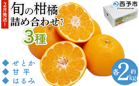 ＜2月発送！旬の柑橘 詰め合わせセット 3種×各2kg＞ 果物 フルーツ みかん ミカン 蜜柑 柑橘 オレンジ ブラッドオレンジ なつみ はるか ネーブル ポンカン 甘夏 特産品 宇都宮物産 愛媛県 西予市【常温】『2月に順次出荷予定』UUB0061