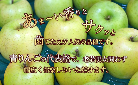 りんご王林 訳あり家庭用 青森県産 りんご【約5kg】【クール便】