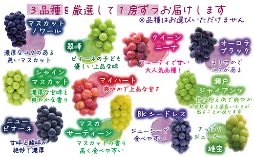 【2026年先行受付】岡山　花笑み農園の『10月おすすめ3種』家庭用　1.8kg(3房)3M-2L家【配送不可地域：離島】