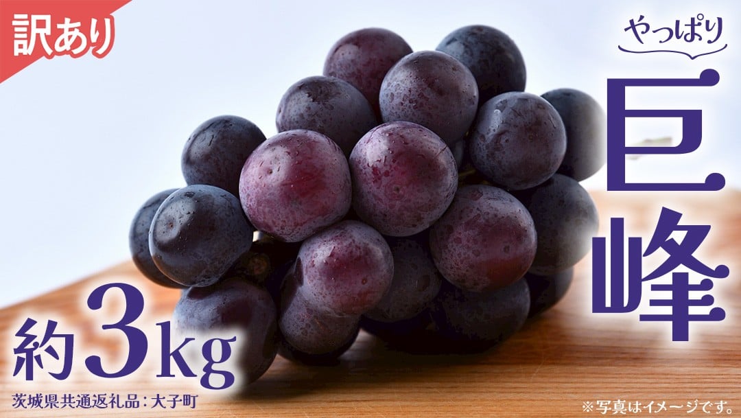 
                  【 訳あり 】 巨峰 3kg 【2026年9月発送開始】(茨城県共通返礼品：大子町) ぶどう 葡萄 ブドウ フルーツ 果物 スイーツ わけあり ワケあり ご自宅用 ご家庭用 自分用
                