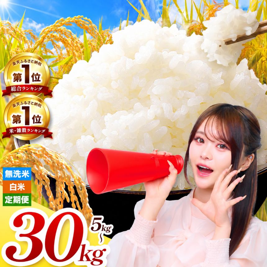 【ふるさと納税】 熊本県産 米 白米 無洗米 5～30kg 穂のなごみ ほたるの灯り くまさんの輝き 選べる銘柄 内容量 単品 定期便 3回 6回 12回 令和8年産 新米 予約 ブランド米 ブレンド米 毎日のご飯 まとめ買い 熊本県 和水町 お取り寄せ