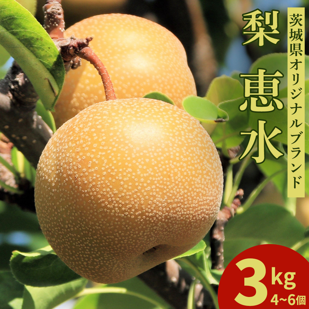 ＜農家直送＞梨 茨城県オリジナルブランド品種 恵水 大玉サイズ4～6個(約3kg)  (BB004)