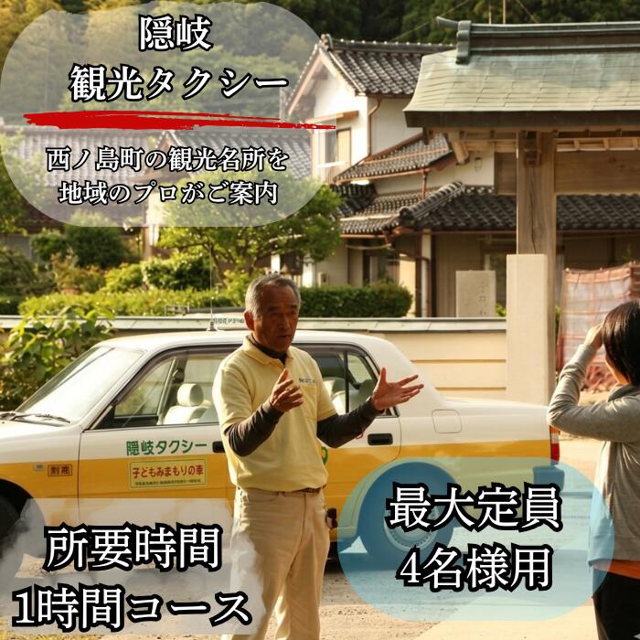 【ふるさと納税】西ノ島町観光タクシー利用券（Aコース：1時間）(4or9人乗り)